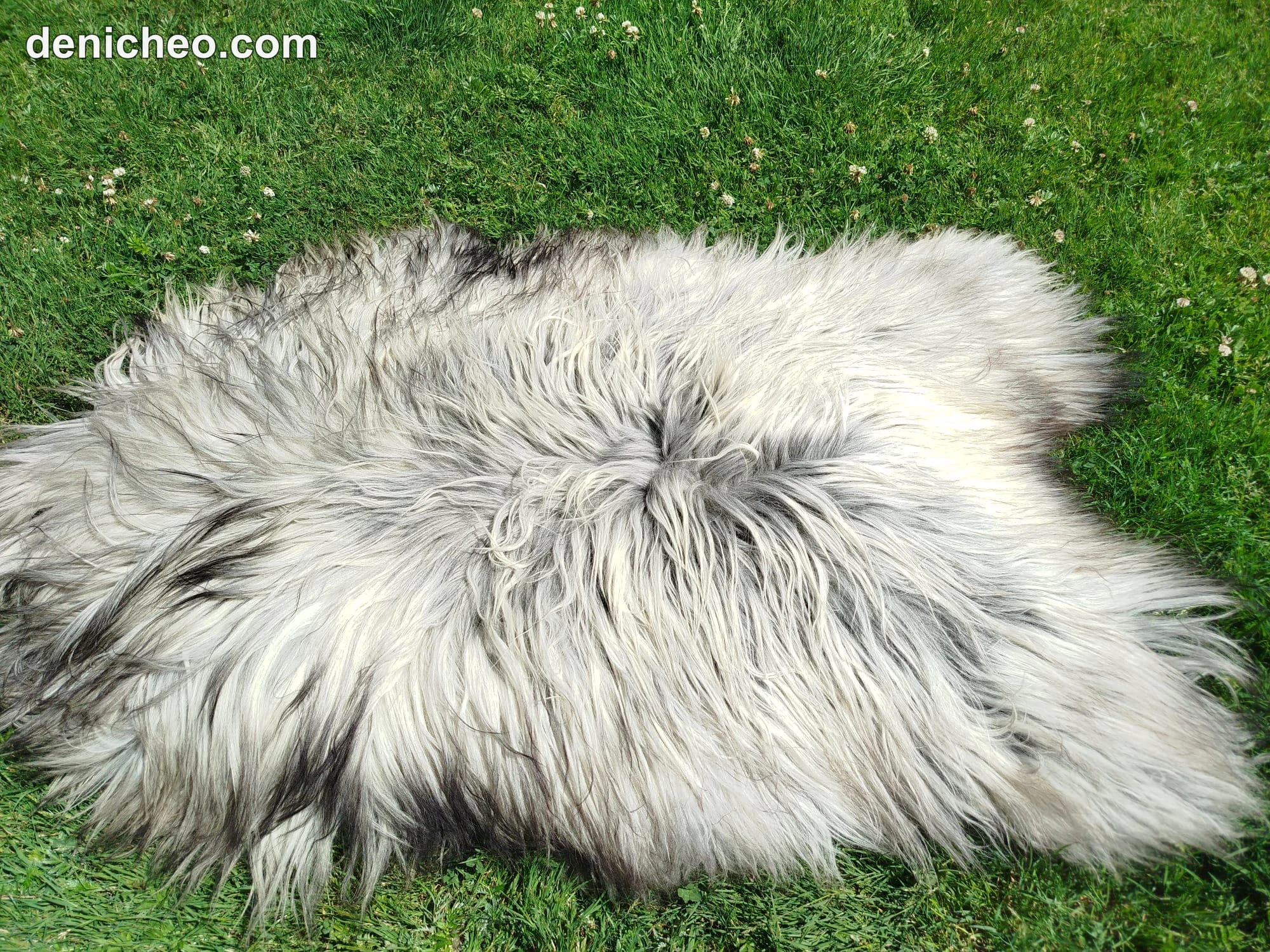 Peaux de mouton Heidschnucke, Premium · photo 1