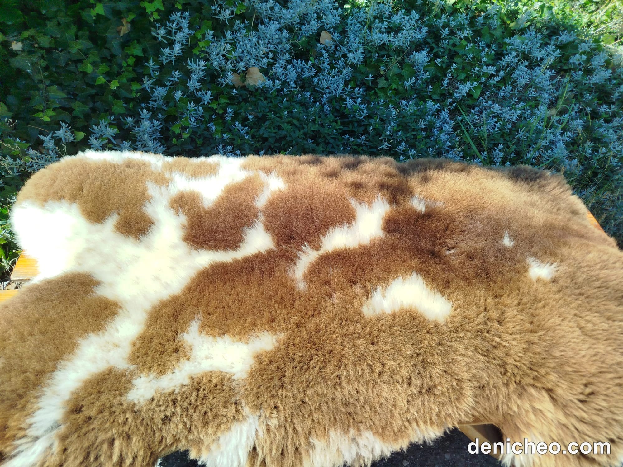 Peaux de mouton néerlandaises, de la plus haute qualité · photo 1