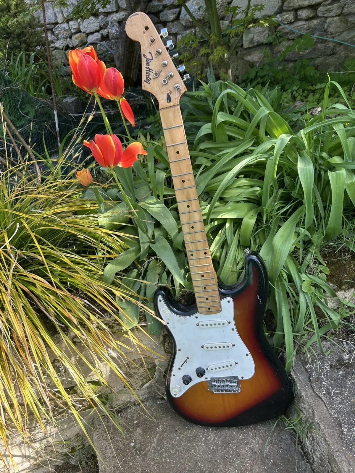guitare électrique vintage Jim Harley instrument de musique · photo 1